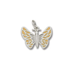 Painted Wings Butterfly Charm/
