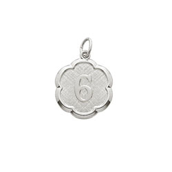 Age 6 Grade School Years - Sixth Birthday Keepsake Charm - Sterling Silver Rhodium Small Round Rembrandt Charm – Engravable on back - Add to a bracelet or necklace/