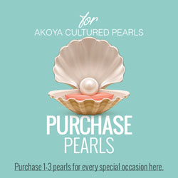 Purchase Her Next Pearl - Akoya Create-A-Pearl/