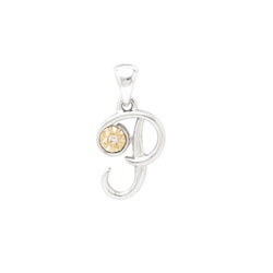 Initial Necklace - Letter P - Sterling Silver / 14K Gold/