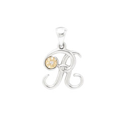 Initial Necklace - Letter R - Sterling Silver / 14K Gold/