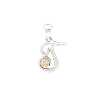 Initial Necklace - Letter T - Sterling Silver / 14K Gold